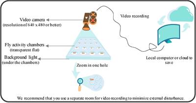 EasyFlyTracker: A Simple Video Tracking Python Package for Analyzing Adult Drosophila Locomotor and Sleep Activity to Facilitate Revealing the Effect of Psychiatric Drugs